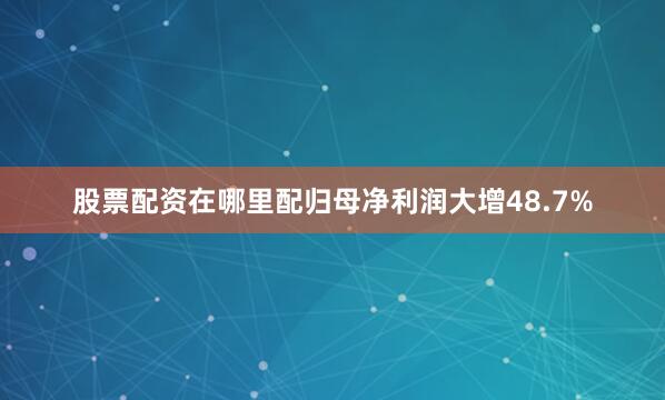 股票配资在哪里配归母净利润大增48.7%