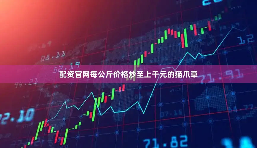 配资官网每公斤价格炒至上千元的猫爪草