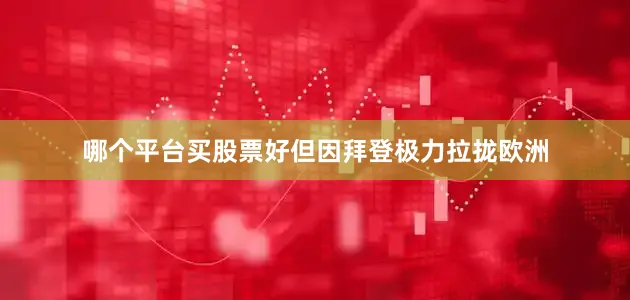 哪个平台买股票好但因拜登极力拉拢欧洲