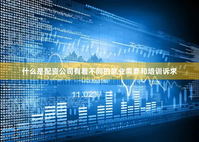 什么是配资公司有着不同的就业需要和培训诉求